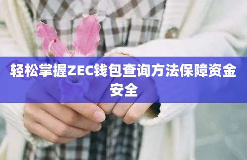 轻松掌握ZEC钱包查询方法保障资金安全