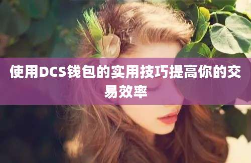 使用DCS钱包的实用技巧提高你的交易效率