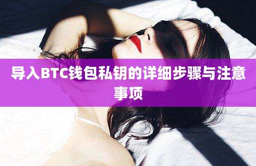 导入BTC钱包私钥的详细步骤与注意事项