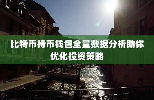 比特币持币钱包全量数据分析助你优化投资策略