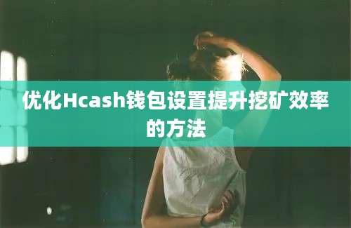 优化Hcash钱包设置提升挖矿效率的方法