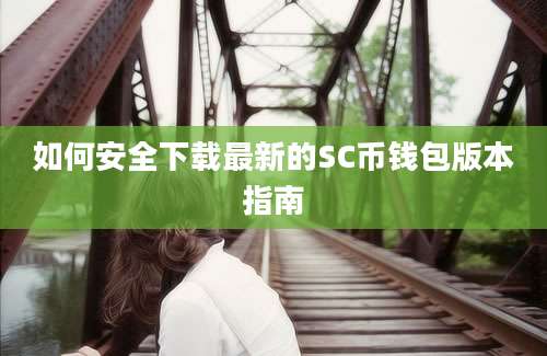 如何安全下载最新的SC币钱包版本指南