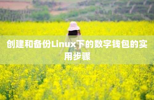 创建和备份Linux下的数字钱包的实用步骤