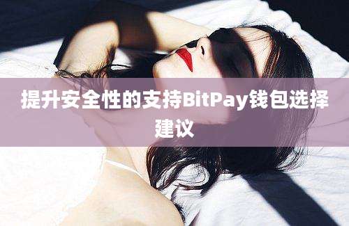 提升安全性的支持BitPay钱包选择建议