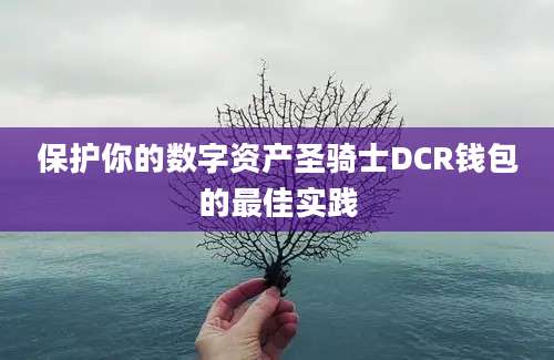 保护你的数字资产圣骑士DCR钱包的最佳实践