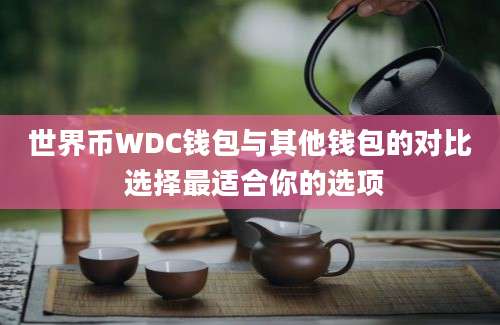 世界币WDC钱包与其他钱包的对比 选择最适合你的选项