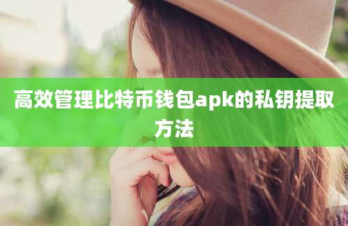 高效管理比特币钱包apk的私钥提取方法