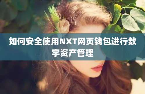 如何安全使用NXT网页钱包进行数字资产管理