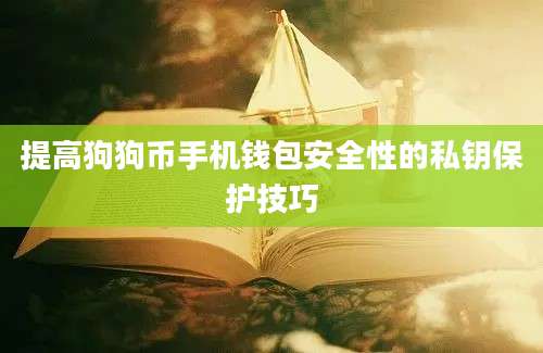 提高狗狗币手机钱包安全性的私钥保护技巧