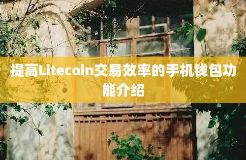 提高Litecoin交易效率的手机钱包功能介绍