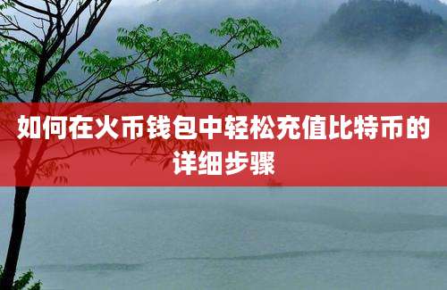 如何在火币钱包中轻松充值比特币的详细步骤