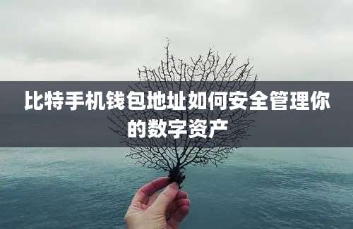 比特手机钱包地址如何安全管理你的数字资产