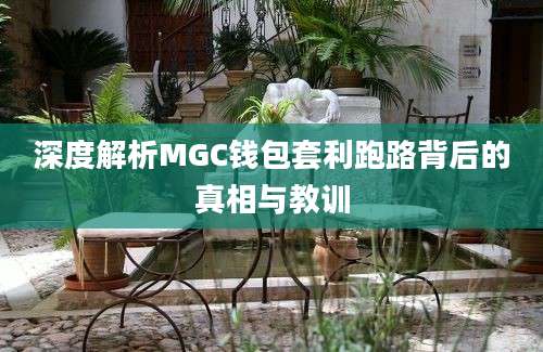 深度解析MGC钱包套利跑路背后的真相与教训