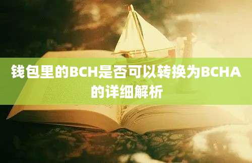 钱包里的BCH是否可以转换为BCHA的详细解析