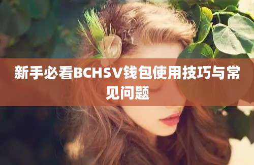 新手必看BCHSV钱包使用技巧与常见问题