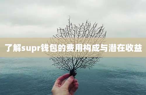 了解supr钱包的费用构成与潜在收益