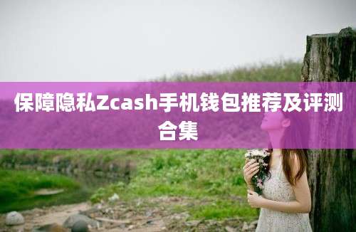 保障隐私Zcash手机钱包推荐及评测合集