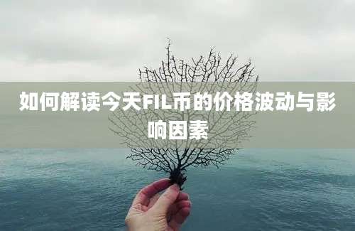 如何解读今天FIL币的价格波动与影响因素