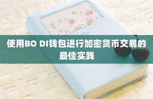 使用BO DI钱包进行加密货币交易的最佳实践