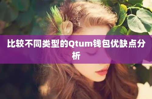 比较不同类型的Qtum钱包优缺点分析