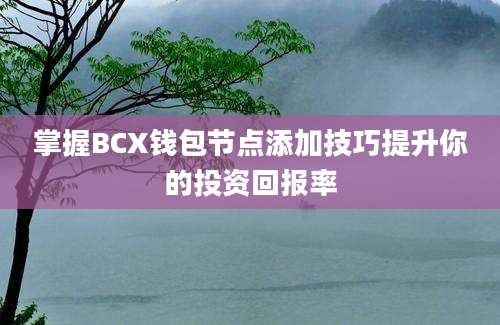 掌握BCX钱包节点添加技巧提升你的投资回报率