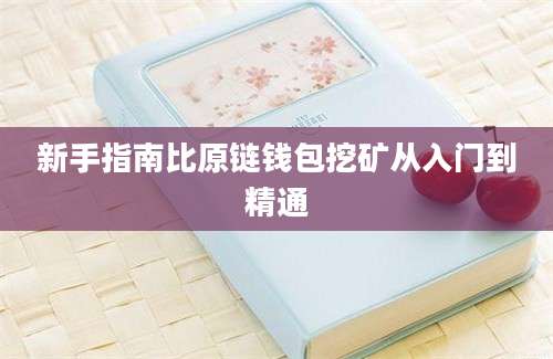 新手指南比原链钱包挖矿从入门到精通