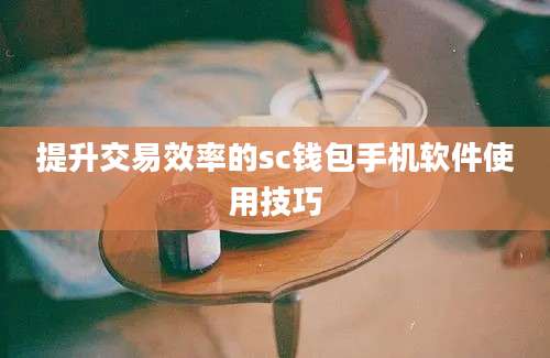 提升交易效率的sc钱包手机软件使用技巧