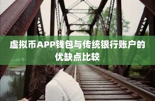 虚拟币APP钱包与传统银行账户的优缺点比较