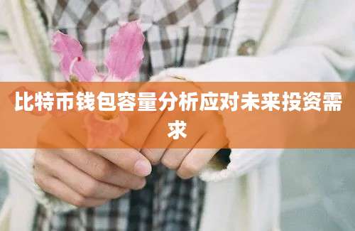 比特币钱包容量分析应对未来投资需求