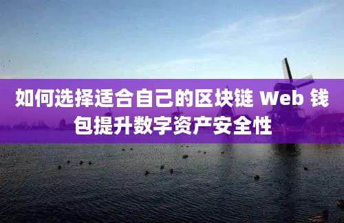 如何选择适合自己的区块链 Web 钱包提升数字资产安全性