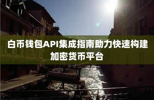 白币钱包API集成指南助力快速构建加密货币平台