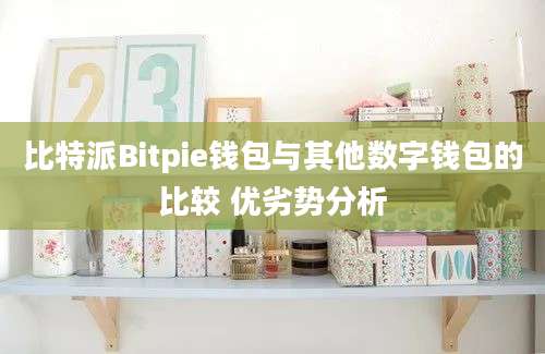 比特派Bitpie钱包与其他数字钱包的比较 优劣势分析