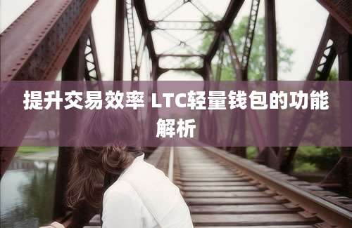 提升交易效率 LTC轻量钱包的功能解析