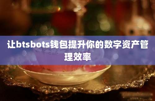 让btsbots钱包提升你的数字资产管理效率