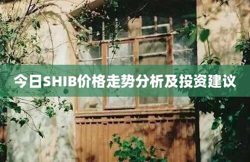 今日SHIB价格走势分析及投资建议