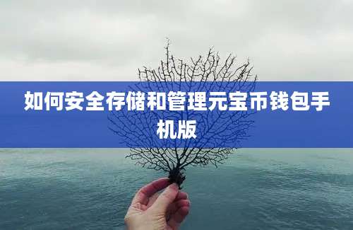 如何安全存储和管理元宝币钱包手机版