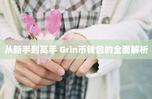 从新手到高手 Grin币钱包的全面解析