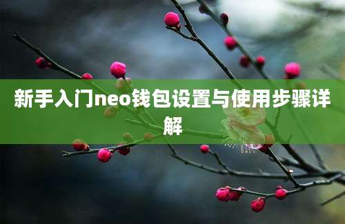 新手入门neo钱包设置与使用步骤详解