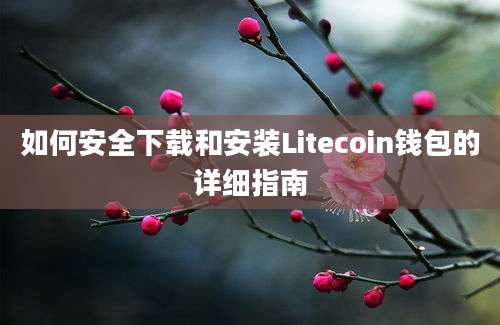 如何安全下载和安装Litecoin钱包的详细指南