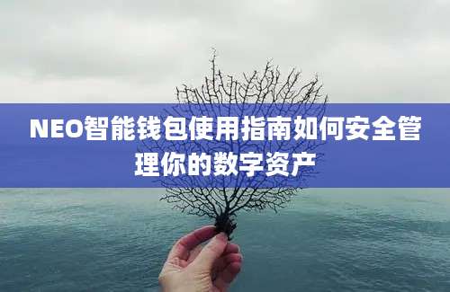 NEO智能钱包使用指南如何安全管理你的数字资产