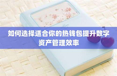 如何选择适合你的热钱包提升数字资产管理效率