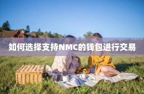 如何选择支持NMC的钱包进行交易