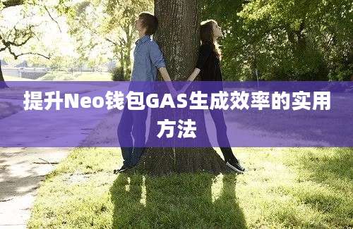 提升Neo钱包GAS生成效率的实用方法