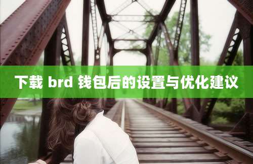 下载 brd 钱包后的设置与优化建议