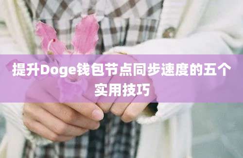 提升Doge钱包节点同步速度的五个实用技巧