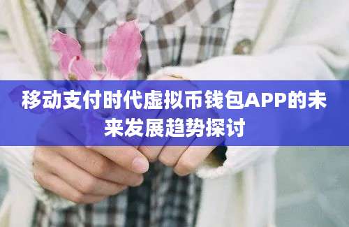 移动支付时代虚拟币钱包APP的未来发展趋势探讨