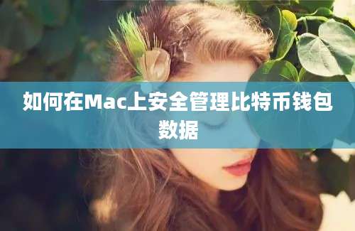 如何在Mac上安全管理比特币钱包数据